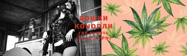 молекула духа Белоозёрский