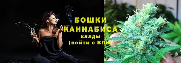молекула духа Белоозёрский