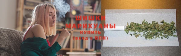 молекула духа Белоозёрский
