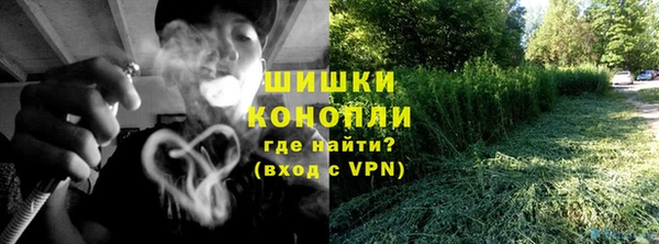 молекула духа Белоозёрский