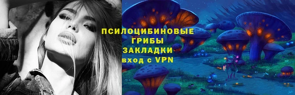 молекула духа Белоозёрский
