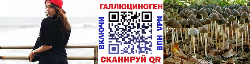 купить наркотик  Брюховецкая  Галлюциногенные грибы Psilocybine cubensis 